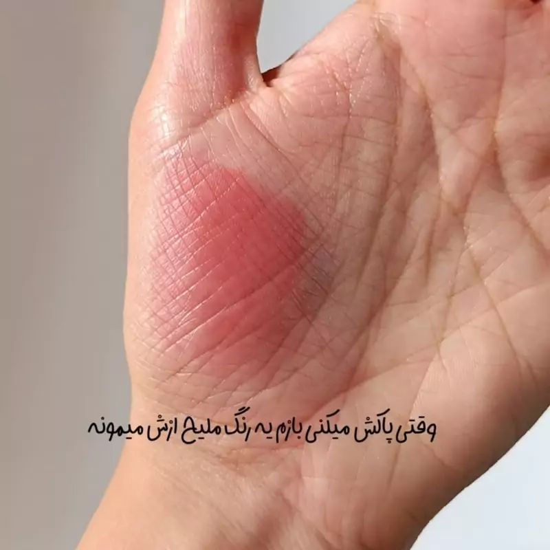لیپ گلاس خیس طرح کره ای سنگی  برند GEGE BEAR کارتن صورتی کد 5۴۷۰